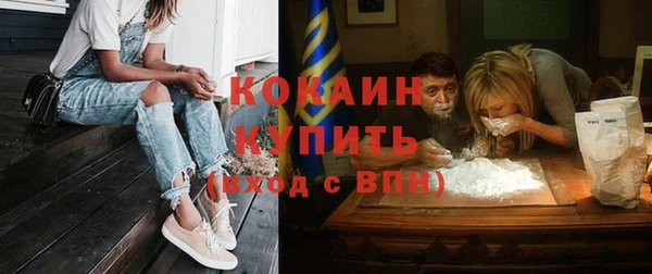стаф Алзамай