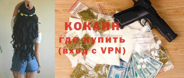 стаф Алзамай