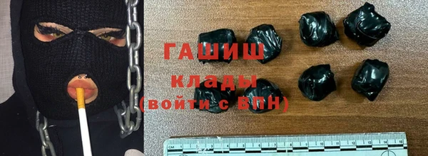 стаф Алзамай