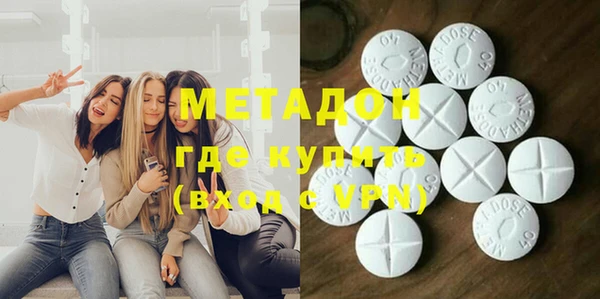 стаф Алзамай