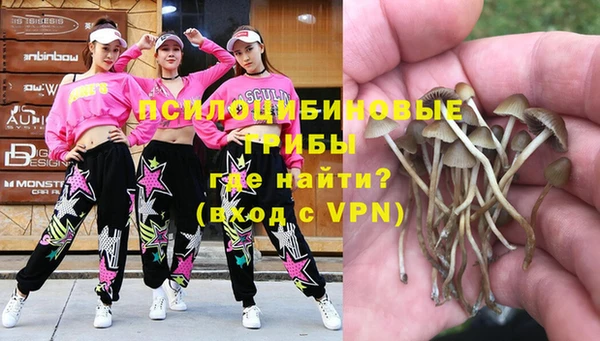 apvp Алексеевка