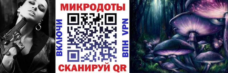 Галлюциногенные грибы MAGIC MUSHROOMS  как найти закладки  Олонец 